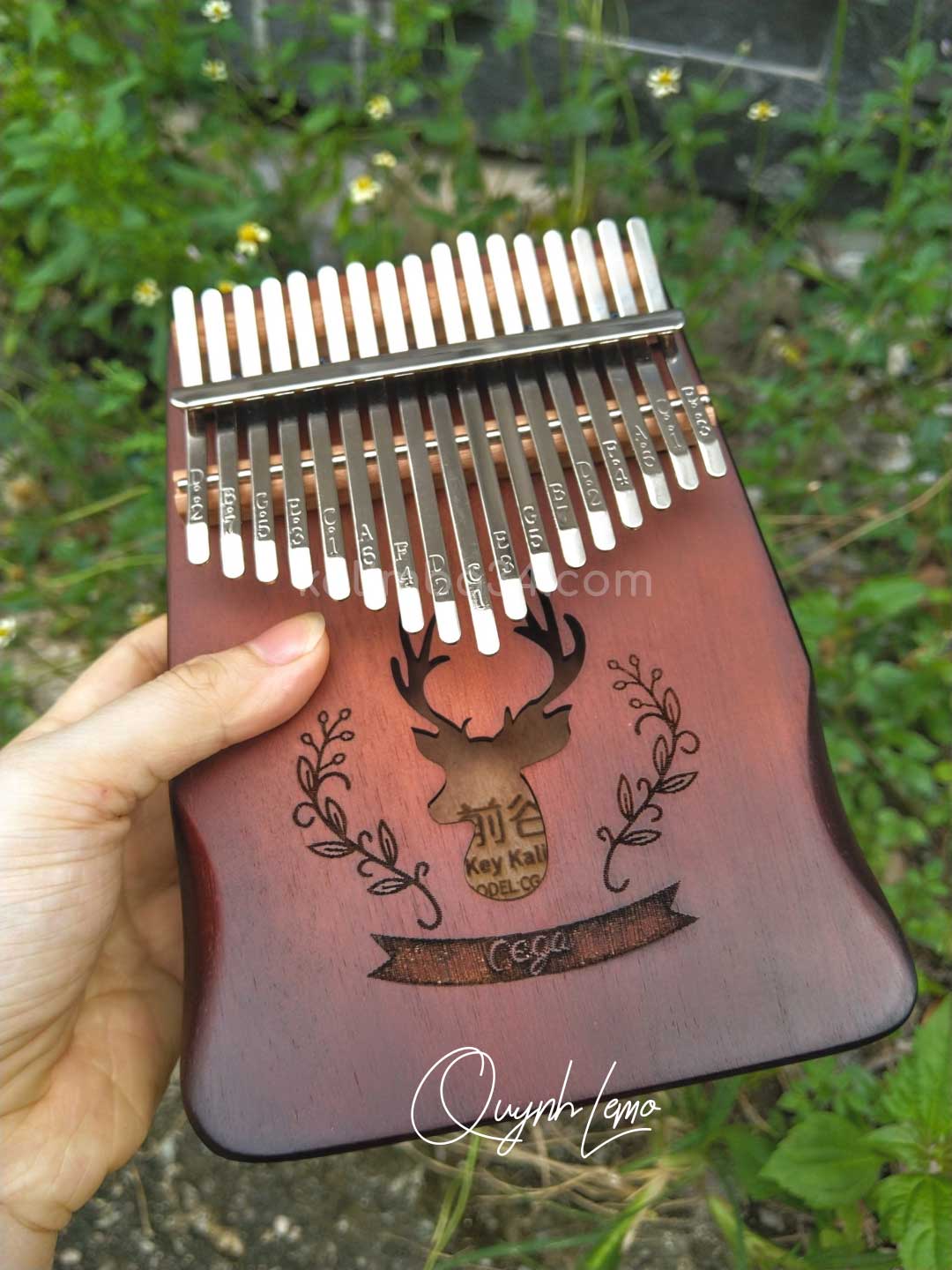 Đàn Kalimba 17 phím Cega Nai Nâu Đậm gỗ manhogany cao cấp 02