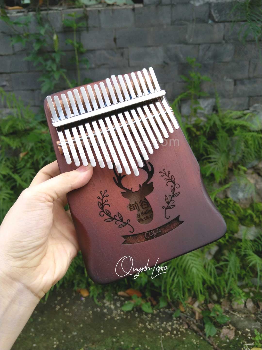 Đàn Kalimba 17 phím Cega Nai Nâu Đậm gỗ manhogany cao cấp 01