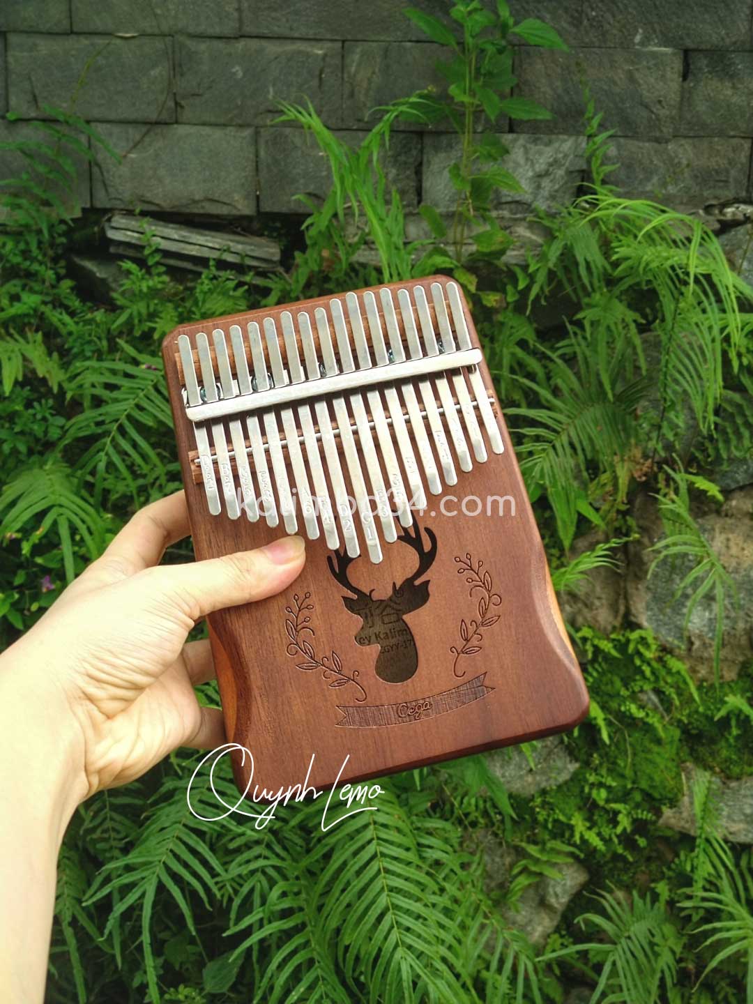 Đàn Kalimba 17 phím Cega Nai Nâu Nhạt gỗ manhogany cao cấp 01