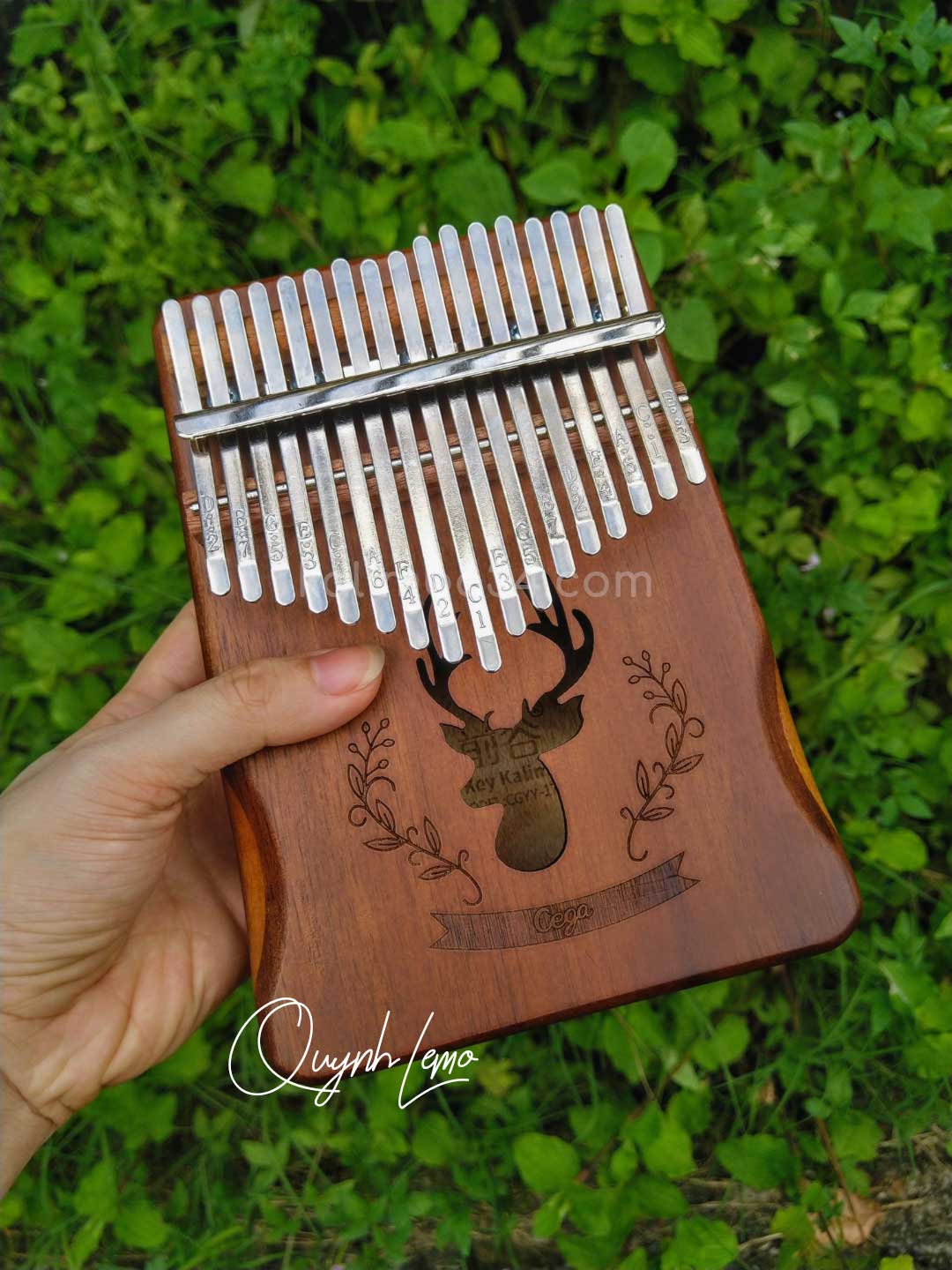 Đàn Kalimba 17 phím Cega Nai Nâu Nhạt gỗ manhogany cao cấp 02