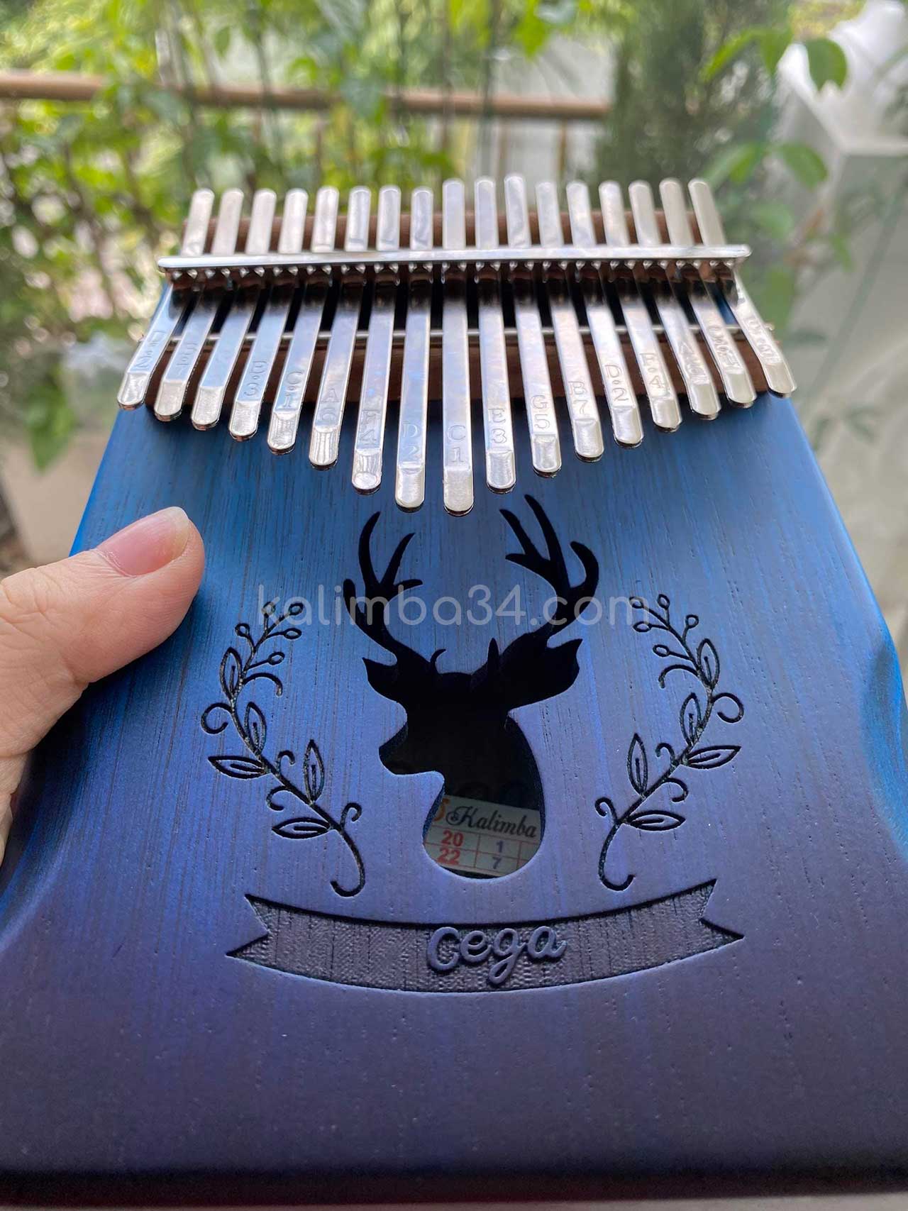 Đàn Kalimba 17 phím Cega Nai Xanh gỗ manhogany cao cấp 02