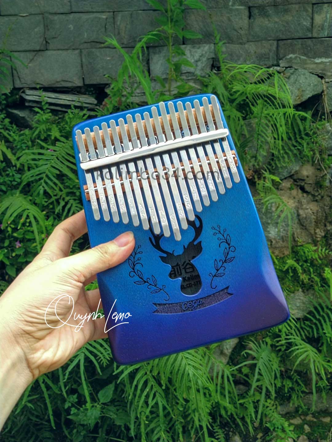 Đàn Kalimba 17 phím Cega Nai Xanh gỗ manhogany cao cấp 05