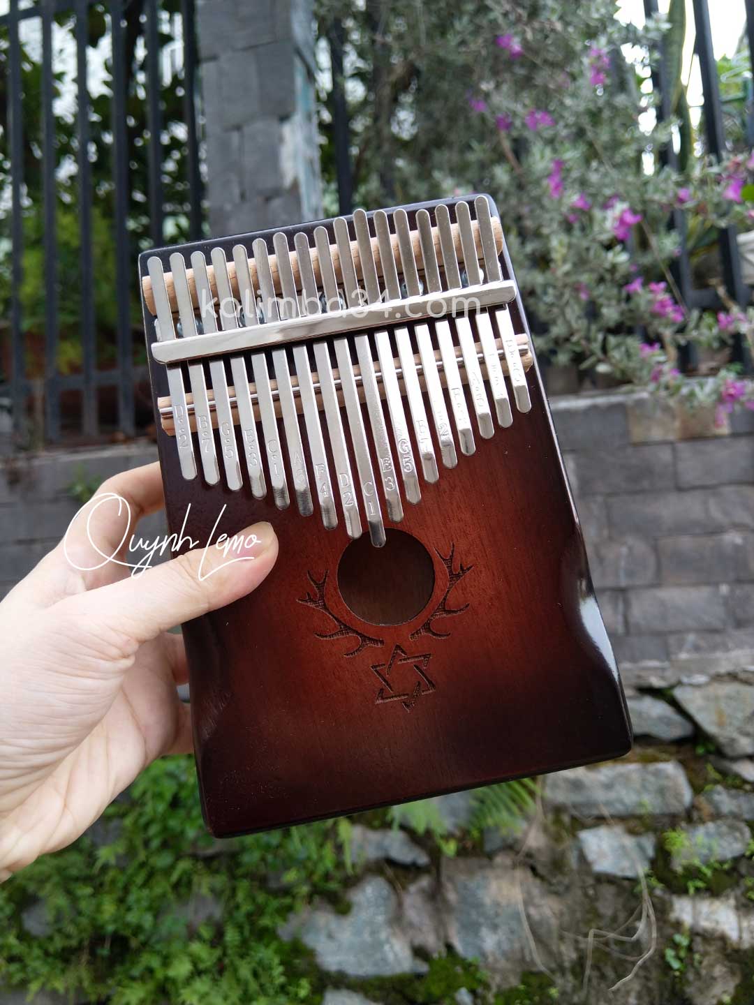 Đàn Kalimba 17 phím Hoa Văn Hình Ngôi Sao gỗ manhogany cao cấp 04