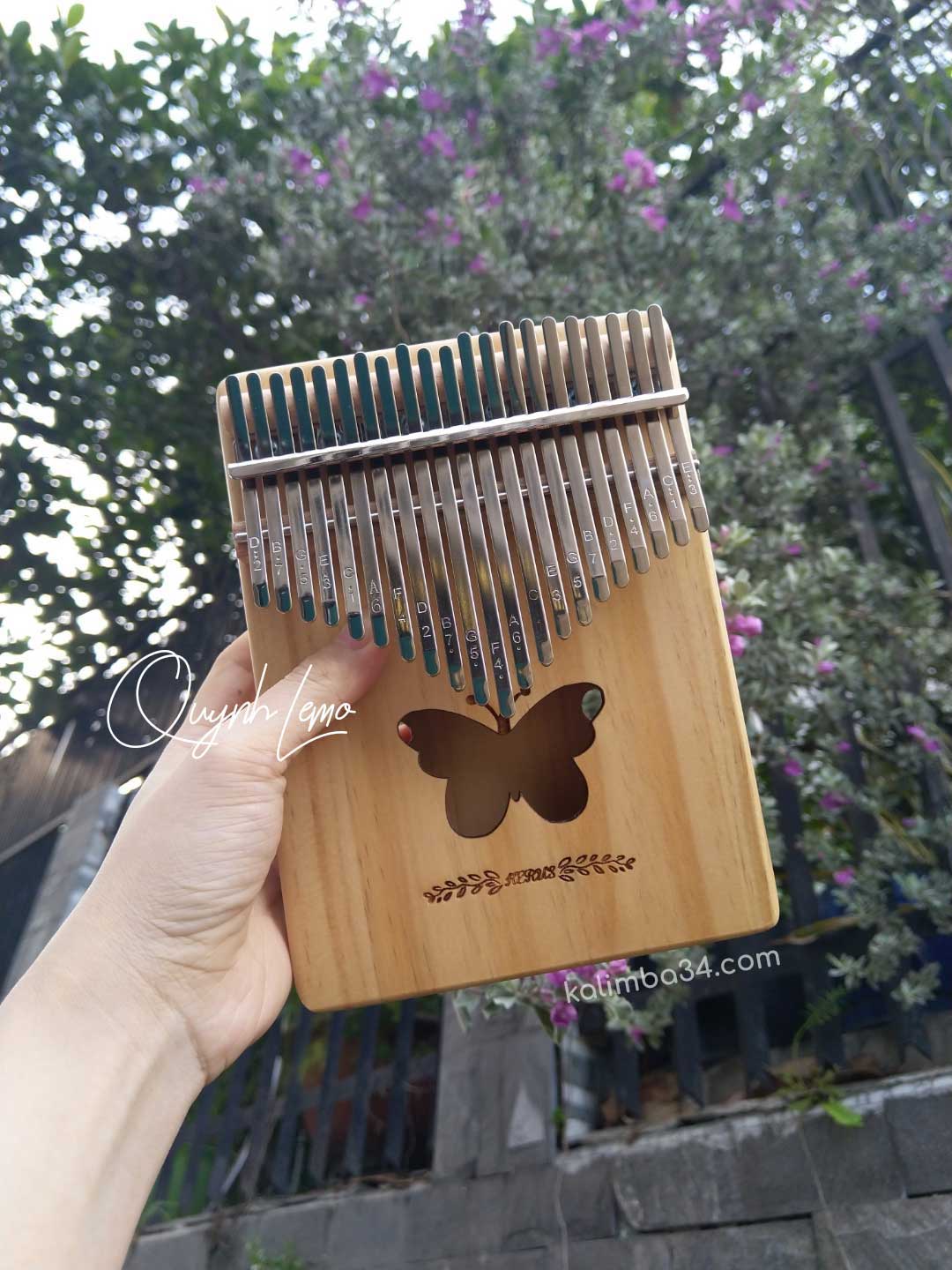 Đàn Kalimba 21 Phím Hình Bướm 01